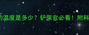 猫咪最适宜的温度是多少铲屎官必看附科学养护指南