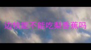 边牧能不能吃梨香蕉吗