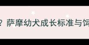 6个月萨摩耶体重多少正常萨摩幼犬成长标准与饲养指南附发育对照表