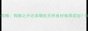 哈士奇食谱全攻略狗粮之外还有哪些天然食材值得添加科学喂养指南
