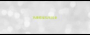 玛德斯型拉布拉多