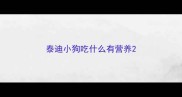 泰迪小狗吃什么有营养