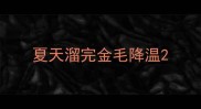 夏天溜完金毛降温