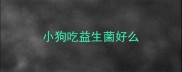 小狗吃益生菌好么