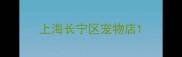 上海长宁区宠物店
