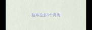 拉布拉多3个月淘