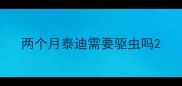两个月泰迪需要驱虫吗