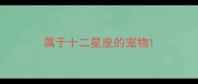属于十二星座的宠物
