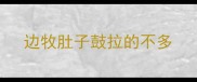 边牧肚子鼓拉的不多