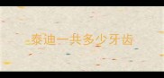 泰迪一共多少牙齿