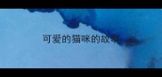 可爱的猫咪的故事