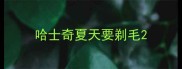 哈士奇夏天要剃毛