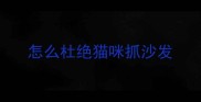 怎么杜绝猫咪抓沙发