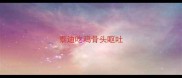 泰迪吃鸡骨头呕吐