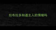 拉布拉多知道主人的情绪吗