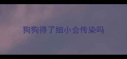 狗狗得了细小会传染吗