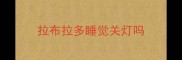 拉布拉多睡觉关灯吗