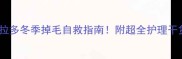 拉布拉多冬季掉毛自救指南附超全护理干货