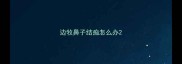 边牧鼻子结痂怎么办
