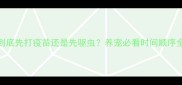 驱虫到底先打疫苗还是先驱虫养宠必看时间顺序全