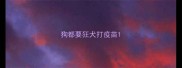 狗都要狂犬打疫苗
