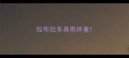 拉布拉多身高体重