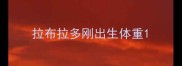 拉布拉多刚出生体重