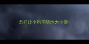 怎样让小狗不随地大小便