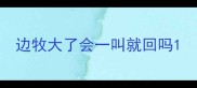 边牧大了会一叫就回吗