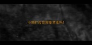 小狗打疫苗需要禁食吗