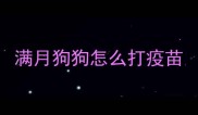 满月狗狗怎么打疫苗