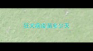 狂犬病疫苗多少天
