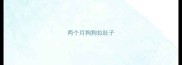两个月狗狗拉肚子