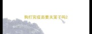 狗打完疫苗要关笼子吗