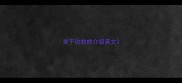 关于边牧的介绍英文