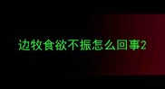 边牧食欲不振怎么回事