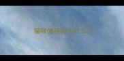 猫咪便秘因为什么