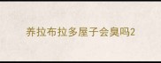养拉布拉多屋子会臭吗