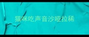 猫咪吃声音沙哑拉稀