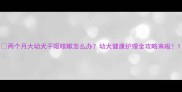两个月大幼犬干呕咳嗽怎么办幼犬健康护理全攻略来啦