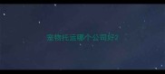 宠物托运哪个公司好