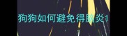 狗狗如何避免得脑炎