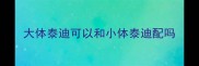大体泰迪可以和小体泰迪配吗