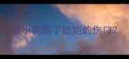 被小狗舔了结疤的伤口