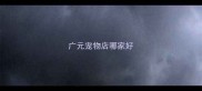 广元宠物店哪家好