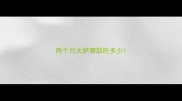 两个月大萨摩耶吃多少