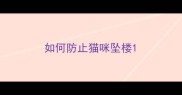 如何防止猫咪坠楼