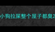 小狗拉屎整个屋子都臭