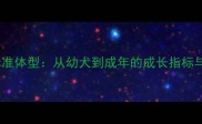 拉布拉多标准体型从幼犬到成年的成长指标与养护指南