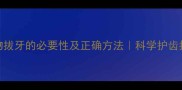 宠物拔牙的必要性及正确方法科学护齿指南